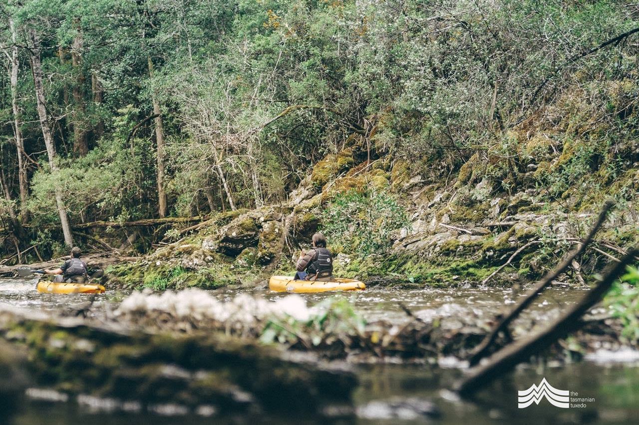 Kayaking in the Derwent Valley Tasmania